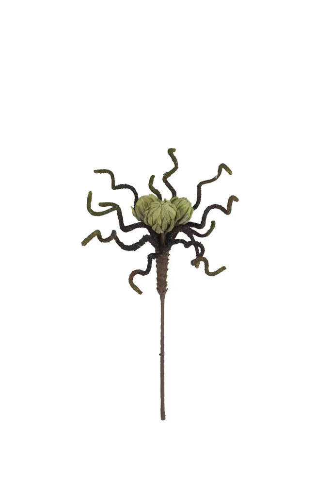 Botanica #2841 (Set of 6)