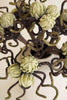 Botanica #2841 (Set of 6)