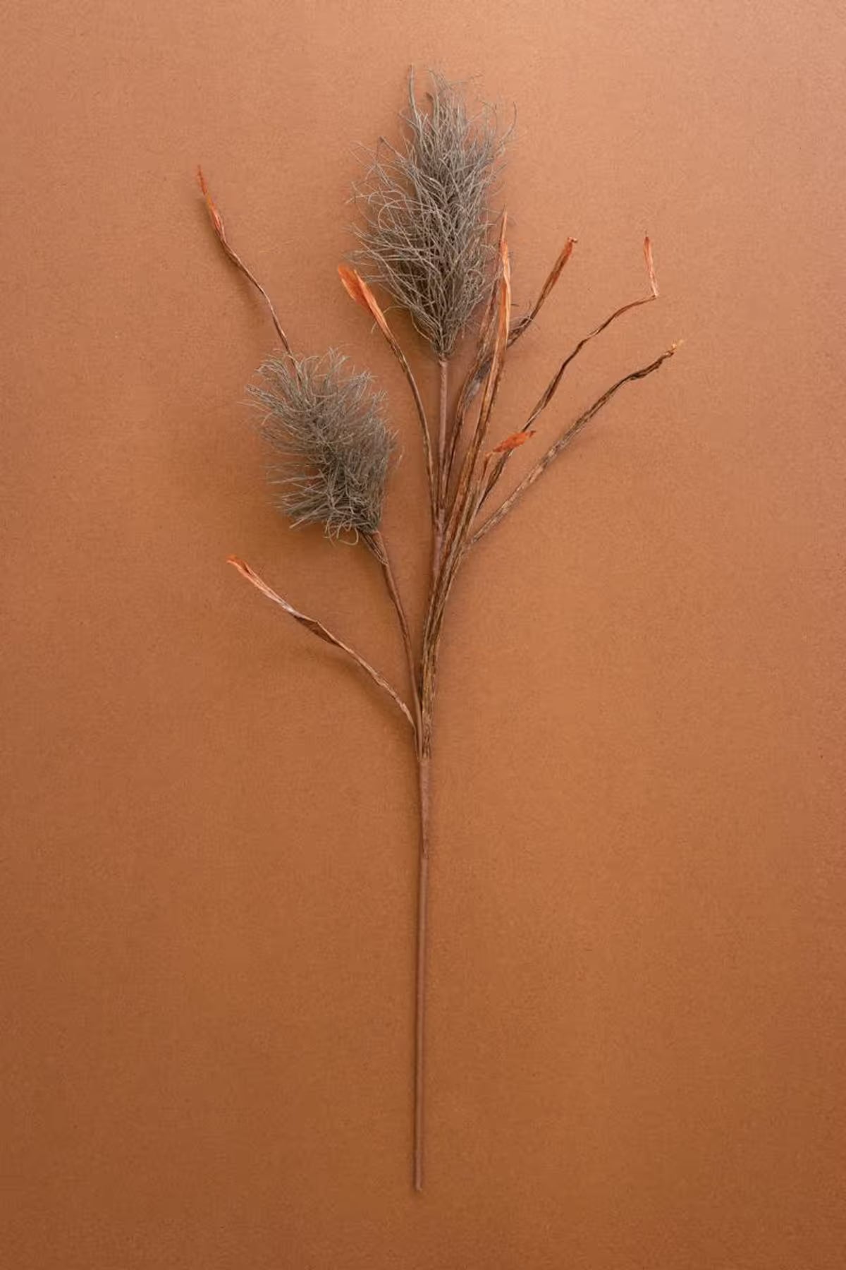 Botanica #2887 (Set of 6)