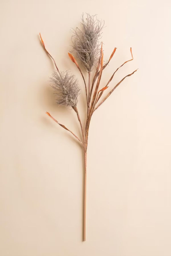 Botanica #2887 (Set of 6)
