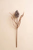 Botanica #2893 (Set of 6)