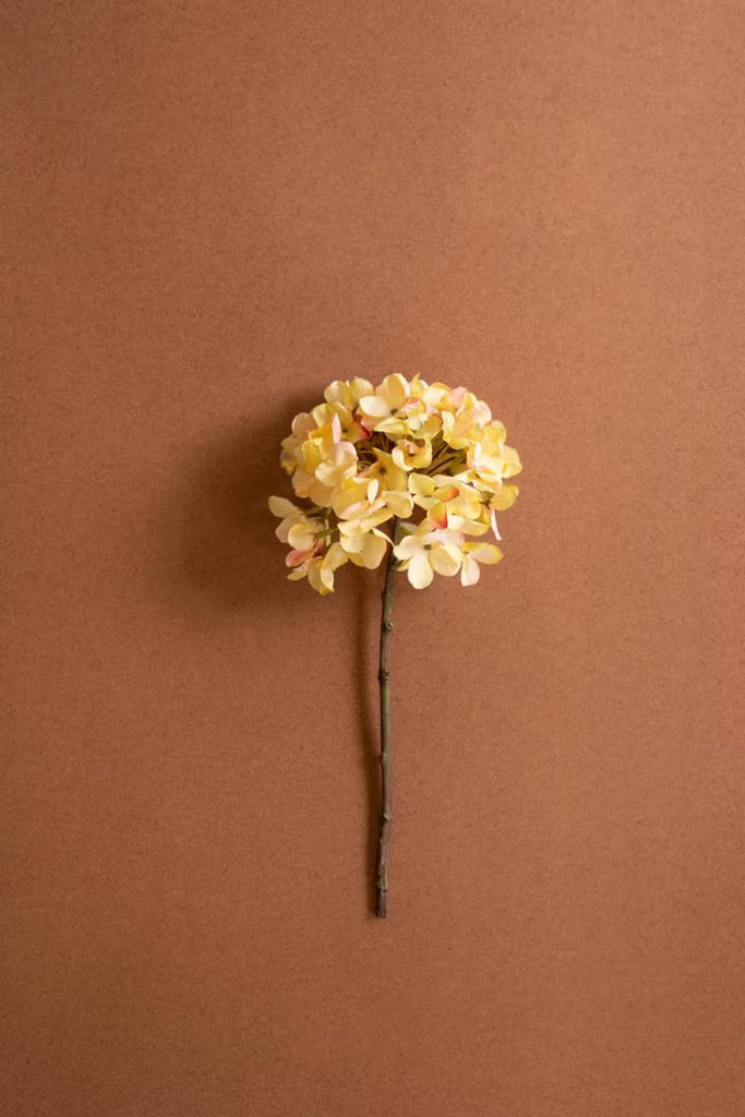 Botanica #2904 (Set of 6)