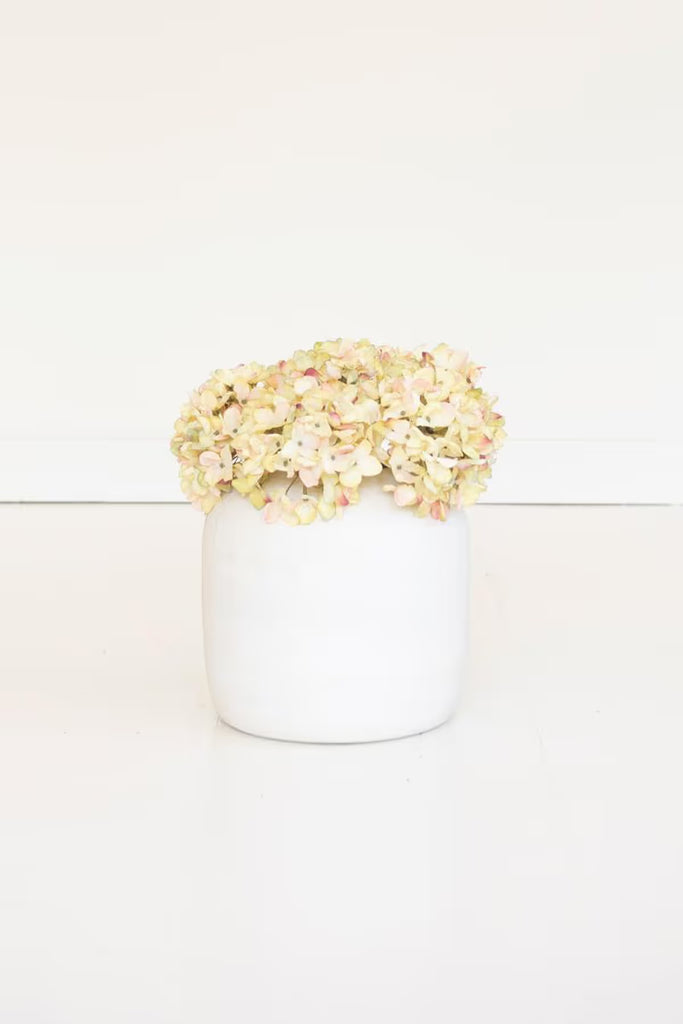 Botanica #2904 (Set of 6)