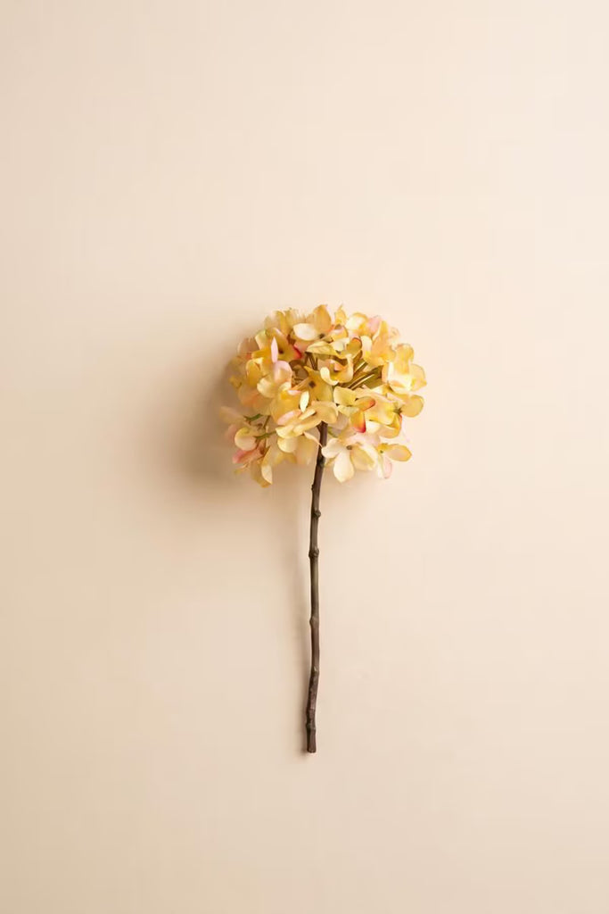 Botanica #2904 (Set of 6)