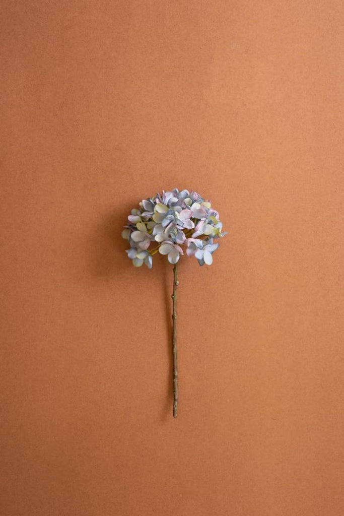 Botanica #2907 (Set of 6)