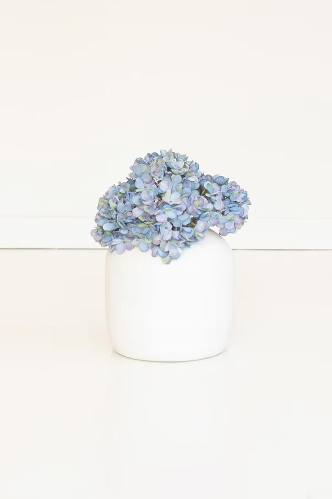 Botanica #2907 (Set of 6)