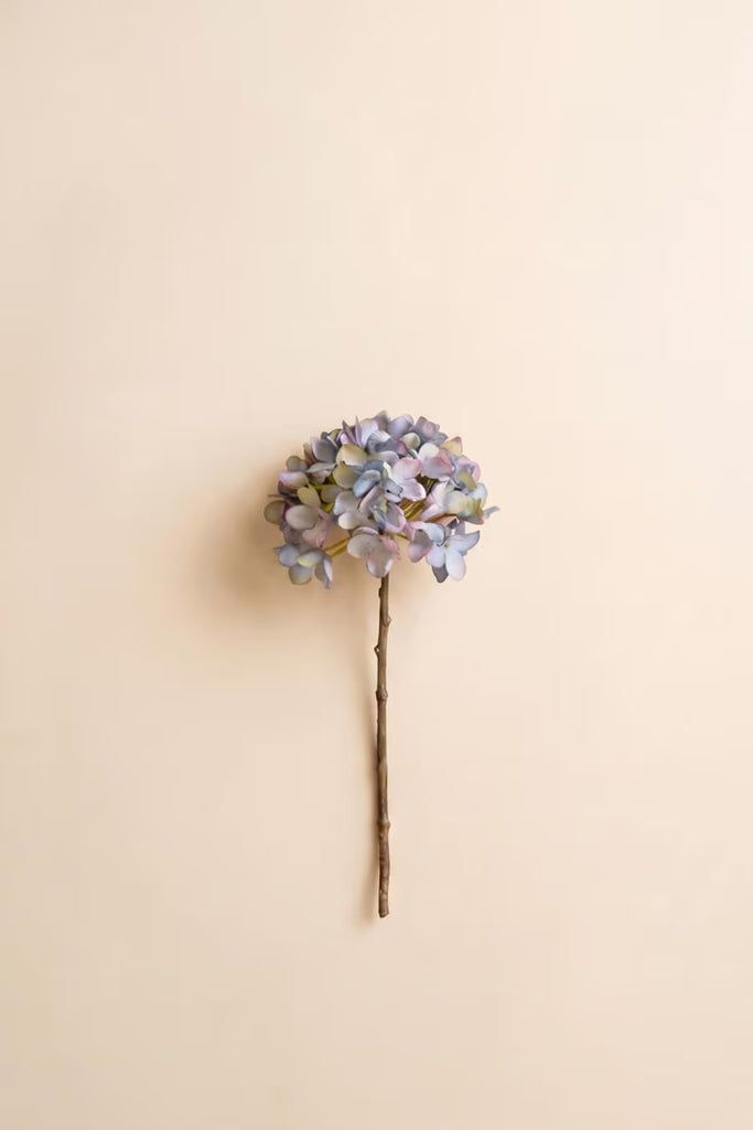 Botanica #2907 (Set of 6)
