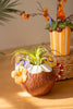 Set of 2 Ceramic Cocktail-Inspired Vases
