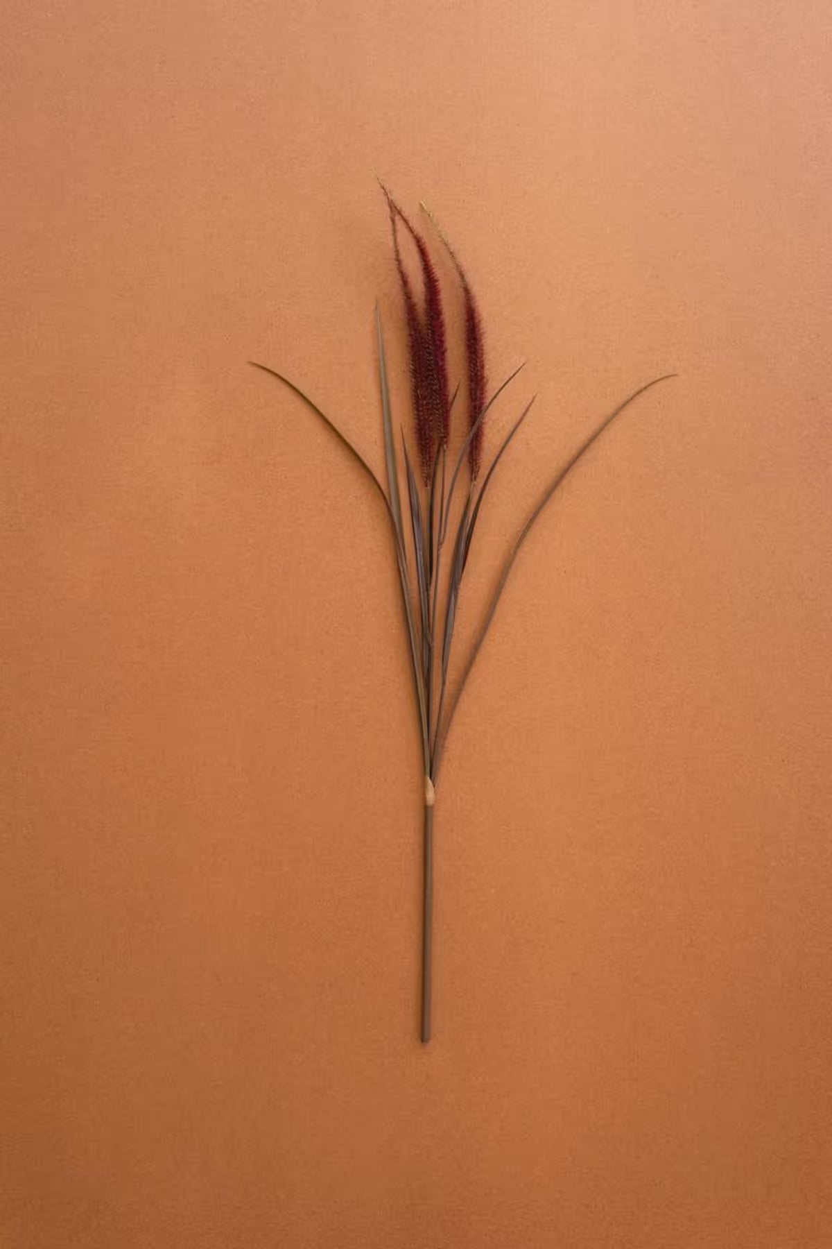Artificial Reed Spray with Burgundy Plumes (Set of 6)