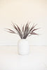 Artificial Reed Spray with Burgundy Plumes (Set of 6)