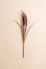 Artificial Reed Spray with Burgundy Plumes (Set of 6)