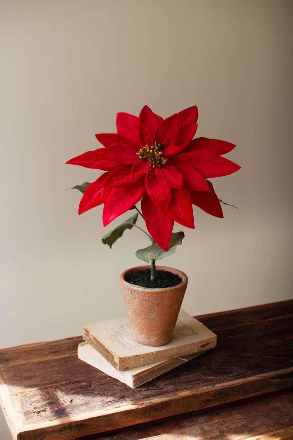 Artificial Poinsettias in a Cement Pot / Red (Set of 4)