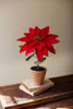 Artificial Poinsettias in a Cement Pot / Red (Set of 4)