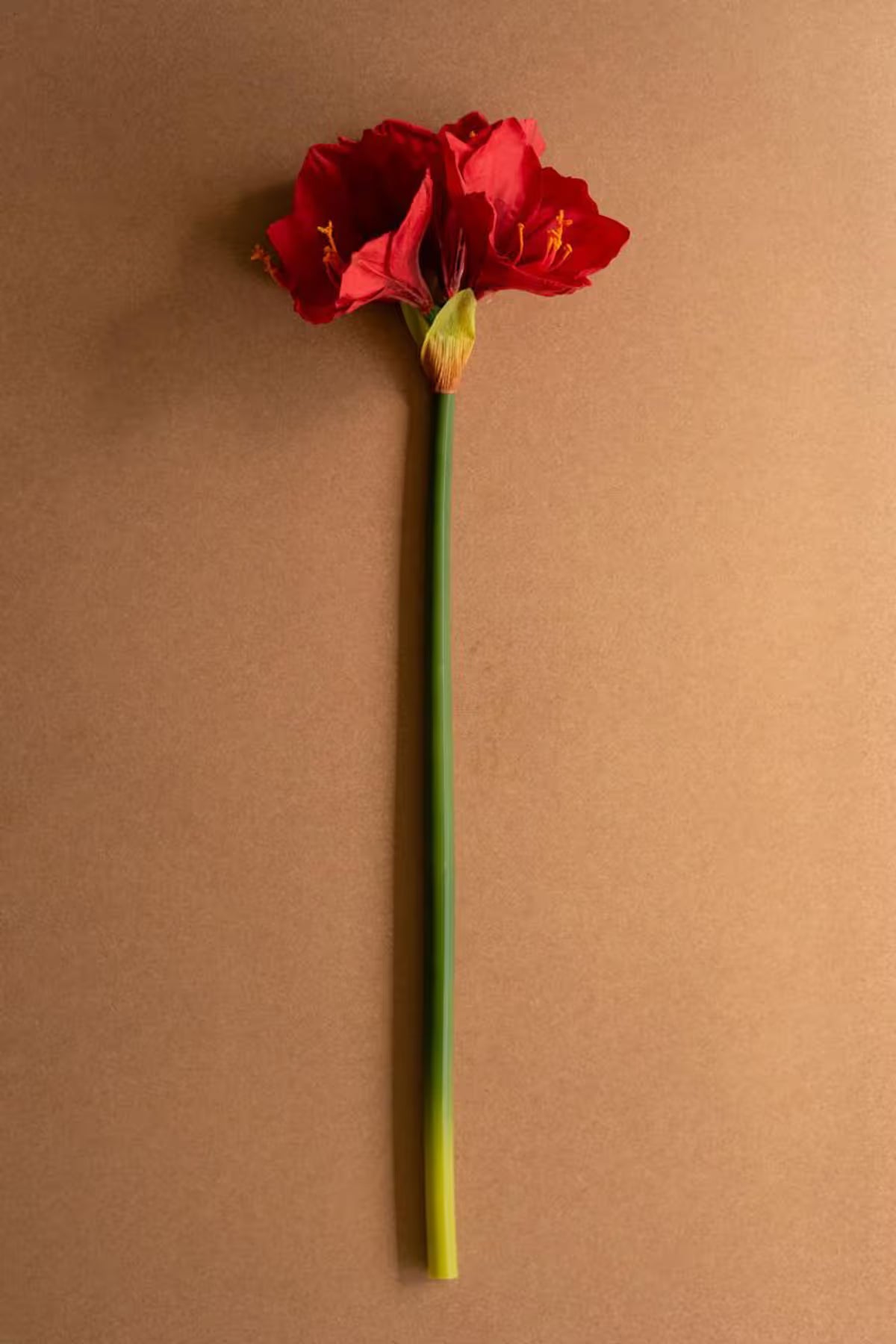 Artificial Amaryllis Stem (Set of 6)