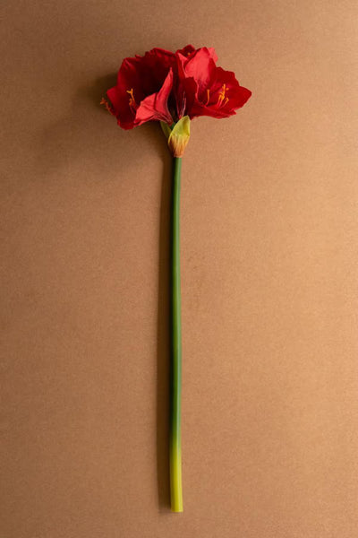 Artificial Amaryllis Stem (Set of 6)