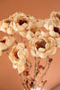 Set of 12 Cornhusk Botanicals on a Bamboo Stem / Magnolia