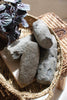 Set of 4 Hand-Carved Stone Pestles