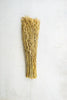 Bundle of Natural Sea Oats (Set of 24)