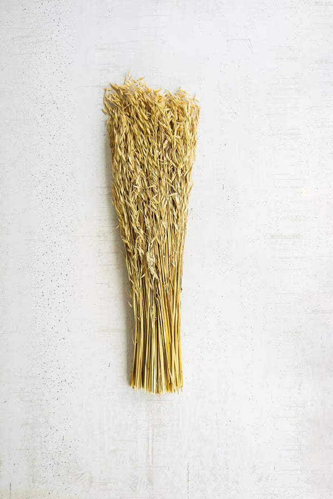 Bundle of Natural Sea Oats (Set of 24)