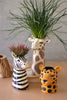 Set Of Three Ceramic Safari Animal Succulent Holders - Hearts Attic 