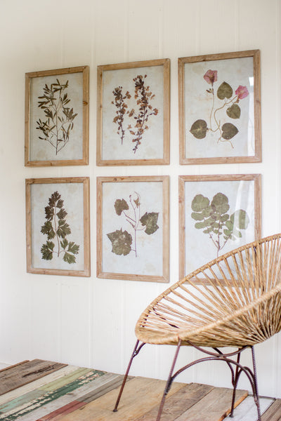 Set of 6 Leaf Prints Under Glass - Hearts Attic 
