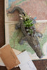 Ceramic Alligator Planter - Hearts Attic 