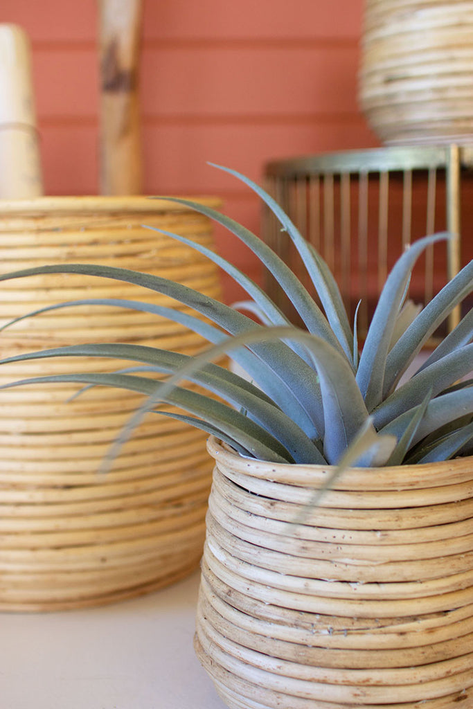 Set Of 3 Woven Willow Planters - Hearts Attic 