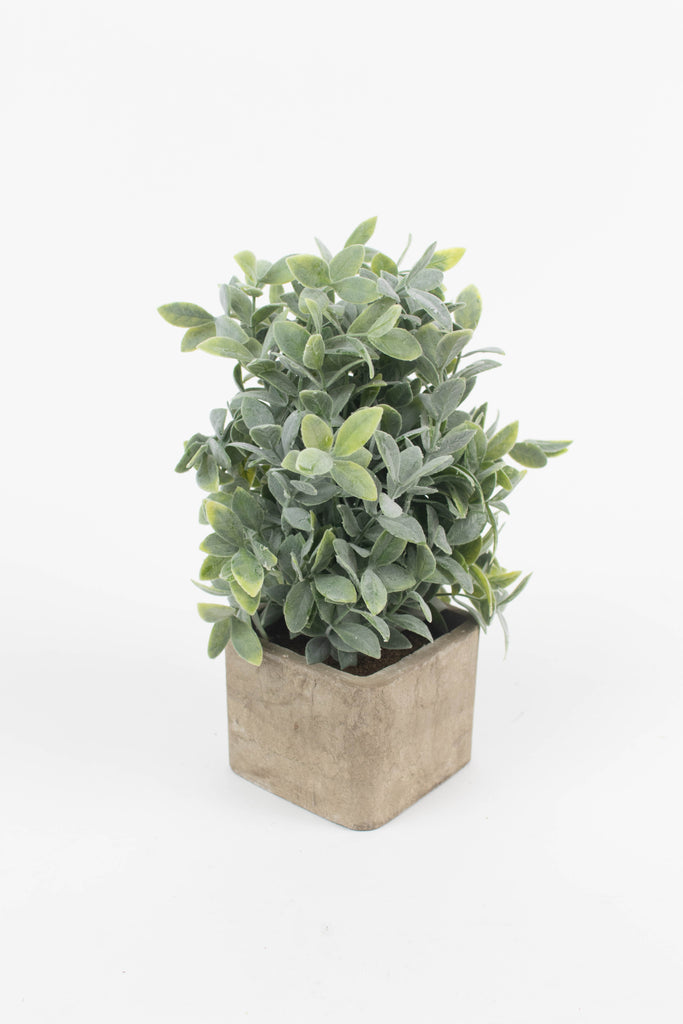 Artificial Sage Bush In A Square Pot - Hearts Attic 