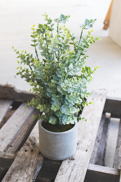 Artificial Boxwood In A Cement Pot - Hearts Attic 