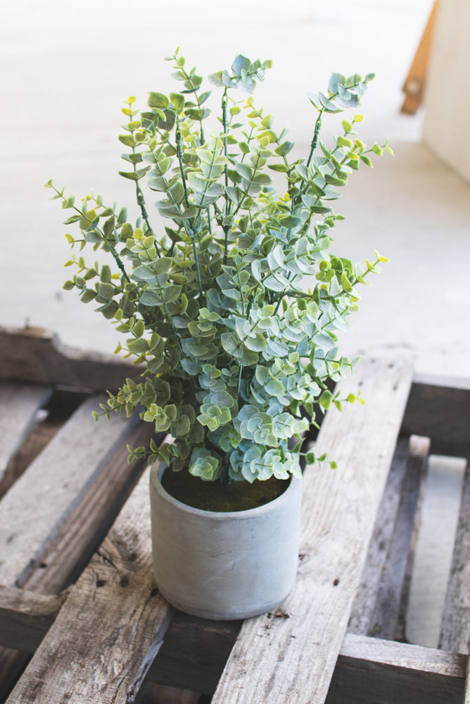 Artificial Boxwood In A Cement Pot - Hearts Attic 