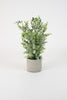 Artificial Boxwood In A Cement Pot - Hearts Attic 
