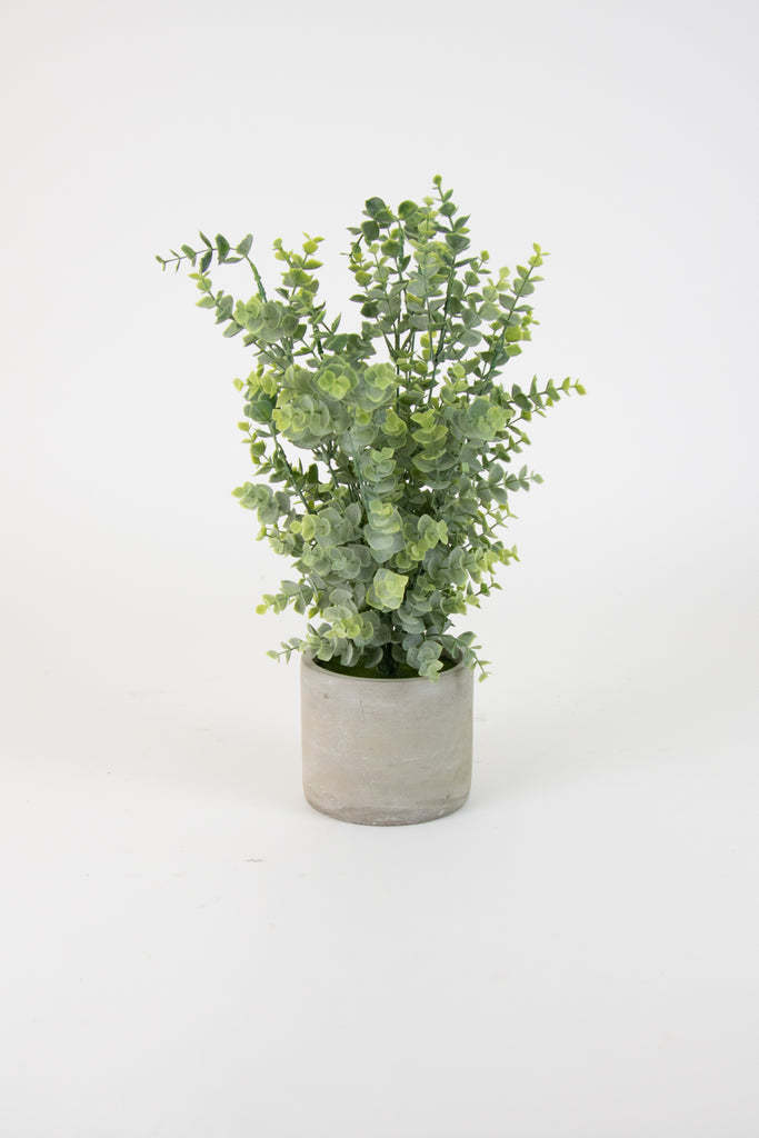 Artificial Boxwood In A Cement Pot - Hearts Attic 