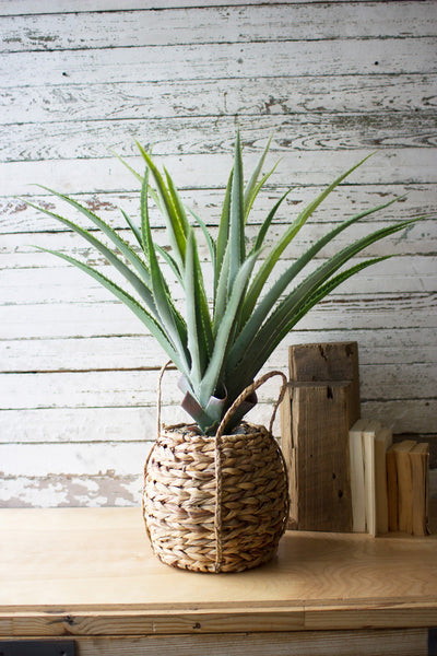 Artificial Aloe In A Woven Pot - Hearts Attic 