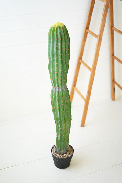 Artificial Single Trunk Cactus In A Plastic Pot - Hearts Attic 