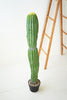 Artificial Single Trunk Cactus In A Plastic Pot - Hearts Attic 