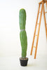 Artificial Single Trunk Cactus In A Plastic Pot - Hearts Attic 