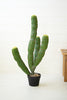 Artificial Multi Trunk Cactus In A Plastic Pot - Hearts Attic 