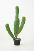 Artificial Multi Trunk Cactus In A Plastic Pot - Hearts Attic 