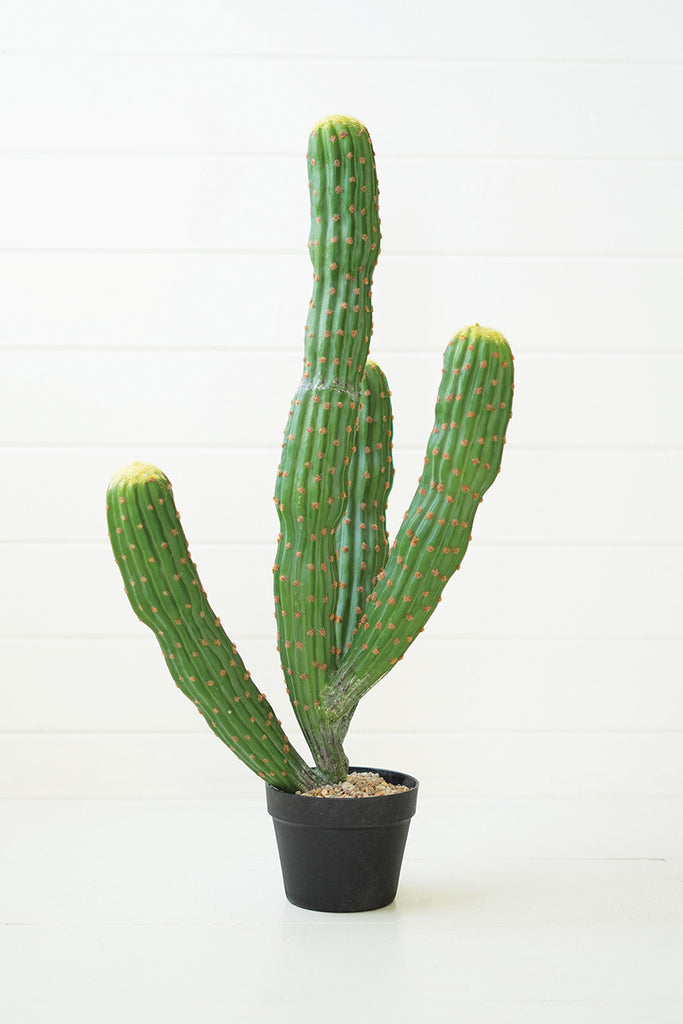 Artificial Multi Trunk Cactus In A Plastic Pot - Hearts Attic 