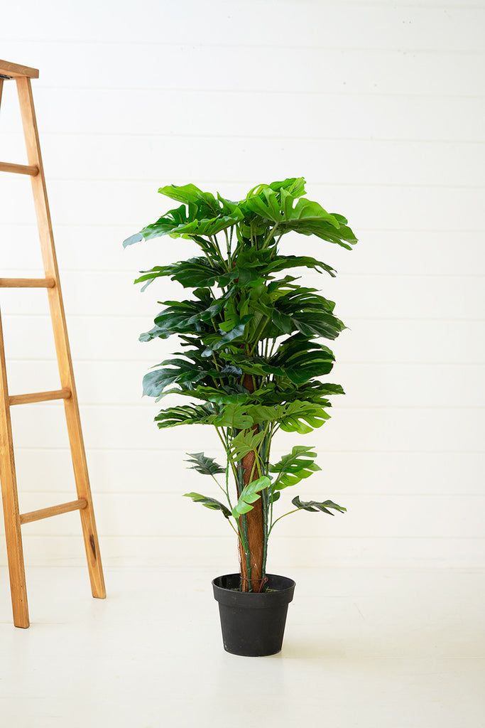 Artificial Monstera Plant In A Plastic Pot Large - Hearts Attic 