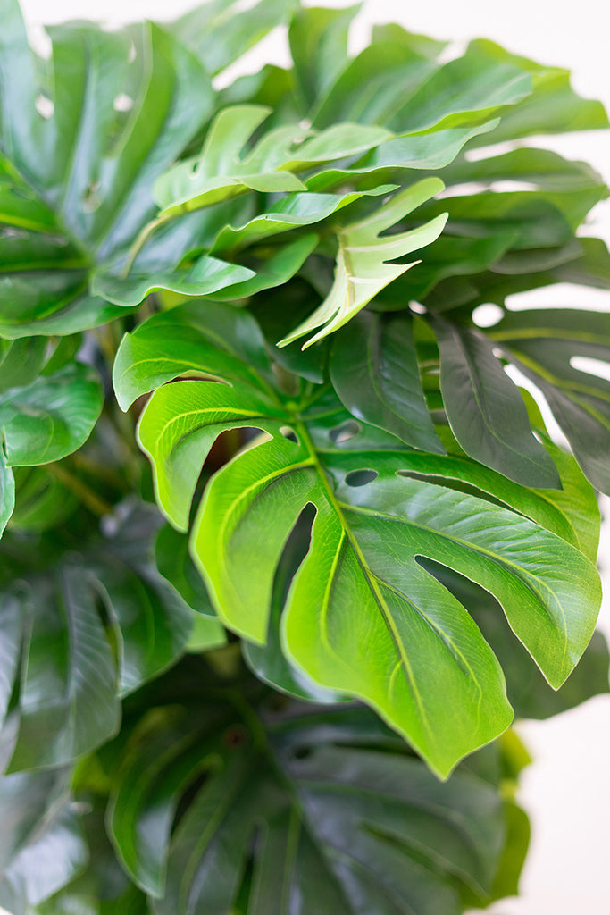 Artificial Monstera Plant In A Plastic Pot Large - Hearts Attic 