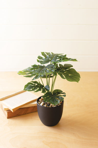 Artificial Monstera Plant In A Plastic Pot Small - Hearts Attic 