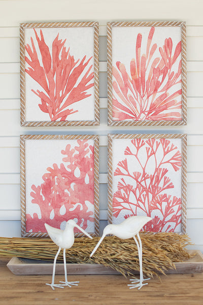 Set Of Four Coral Prints With Wooden Frames - Hearts Attic 