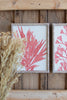 Set Of Four Coral Prints With Wooden Frames - Hearts Attic 