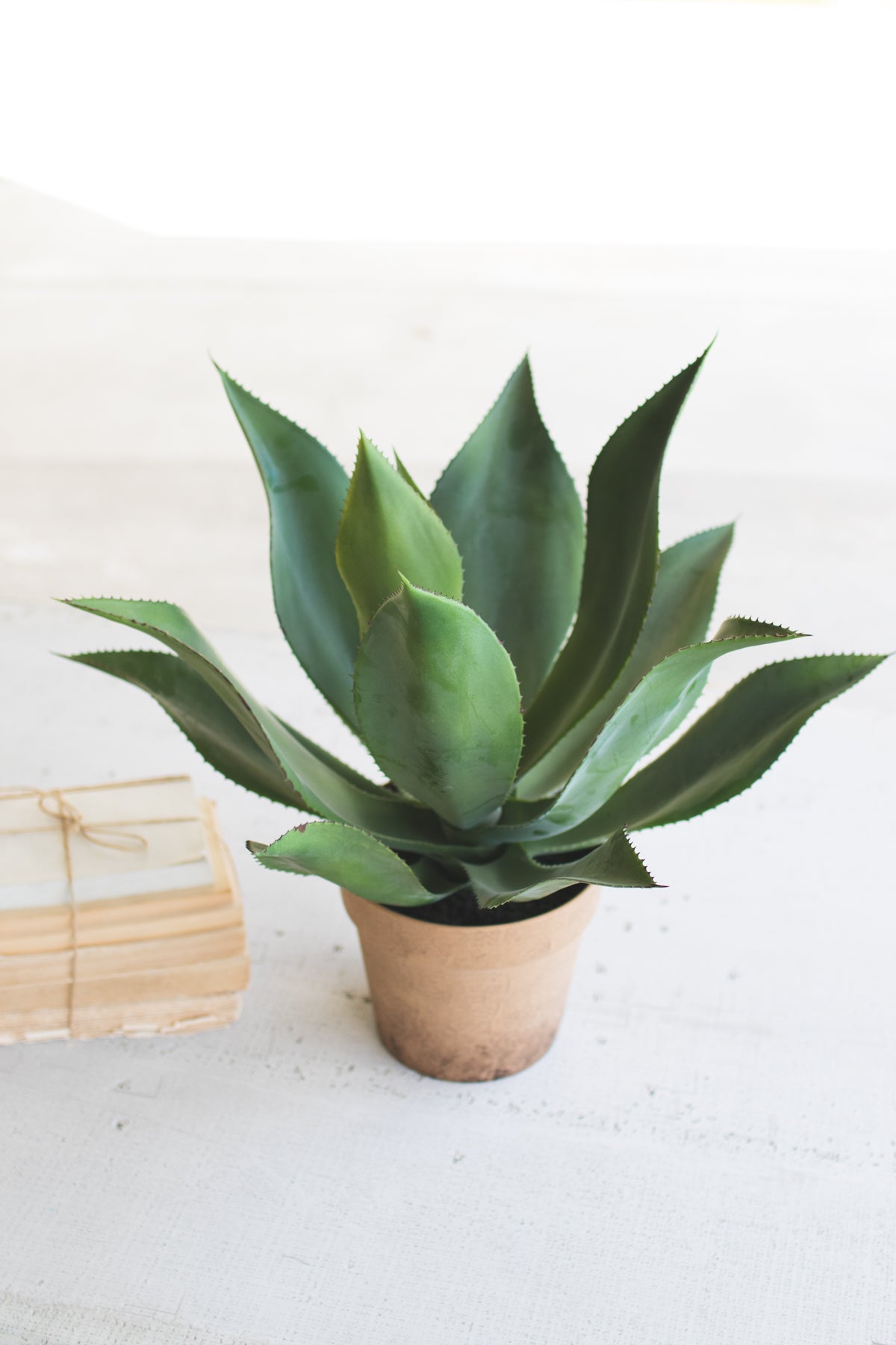 Artificial Agave In A Painted Plastic Pot - Hearts Attic 