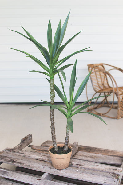 Artificial Heneken Plant With Painted Plastic Pot - Hearts Attic 