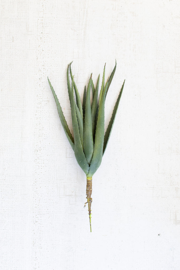 Artificial Aloe Stems - Set Of 6 - Hearts Attic 