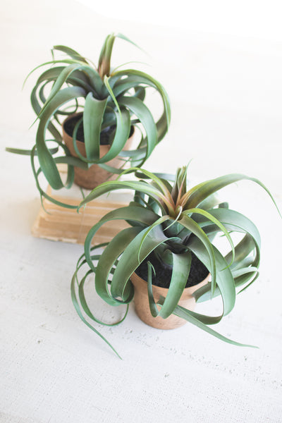 Artificial Airplants In A Pot- - Set Of 2 - Hearts Attic 