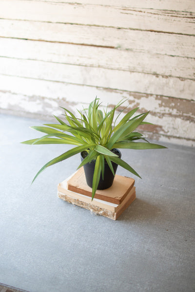 Artificial Potted Green Grass - Hearts Attic 