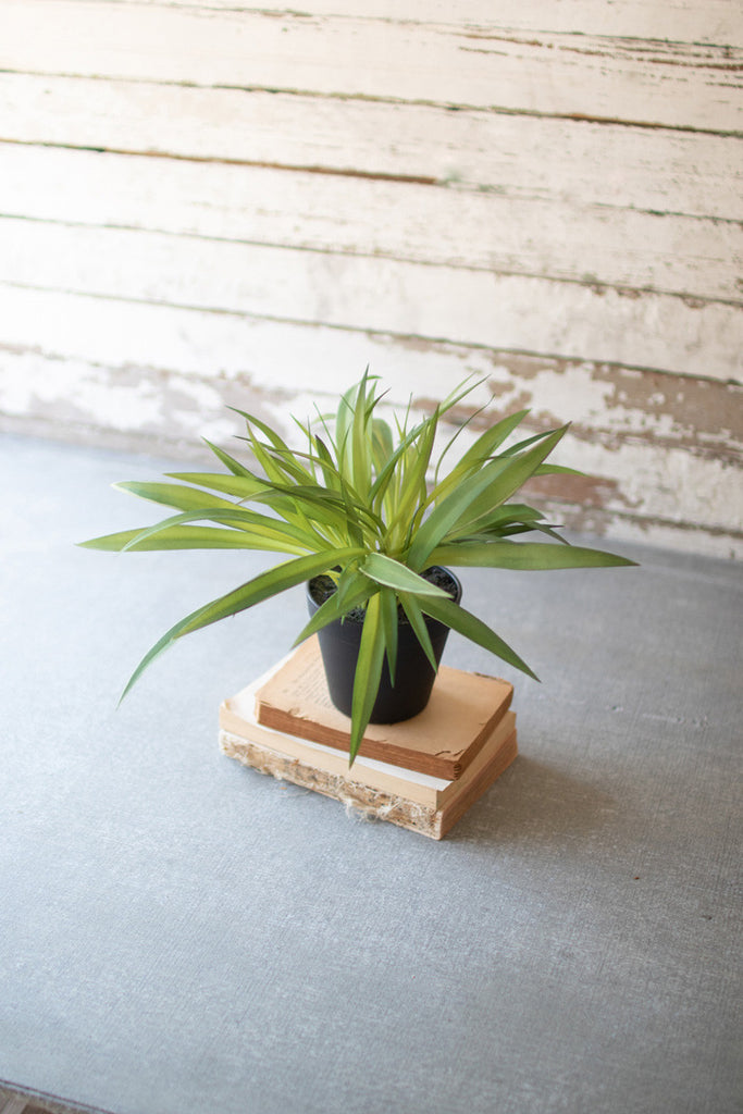 Artificial Potted Green Grass - Hearts Attic 